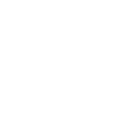 pdf_icon